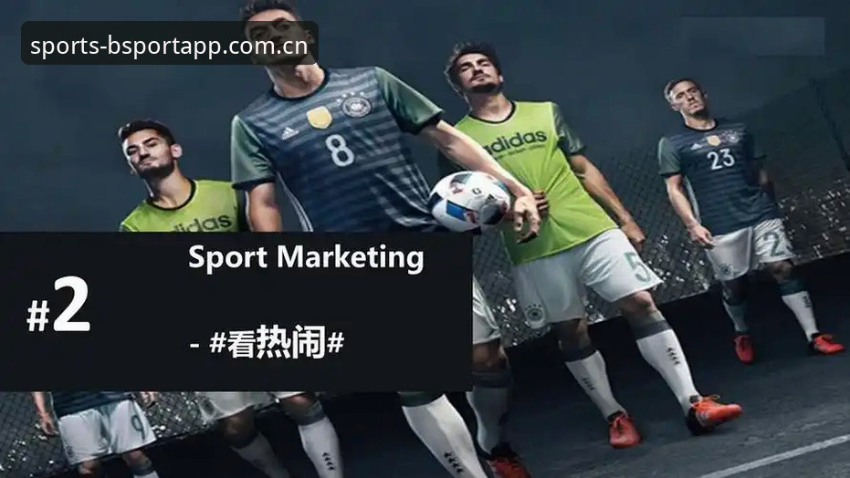 BSport体育平台登录入口选择指南：如何找到最合适的访问通道
